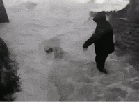 let me go destiny GIF by David