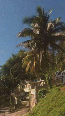 Simongip giphyupload GIF