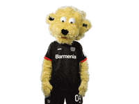 Bayer 04 Facepalm GIF by Bayer 04 Leverkusen