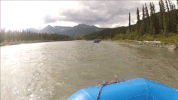 uafairbanks GIF by University of Alaska Fairbanks