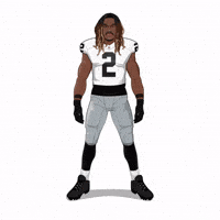 Las Vegas Raiders Football GIF by Panini America