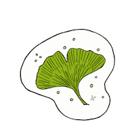 Sticker Leaf Sticker by scholzydesign