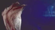 speak now sparks fly GIF by Taylor Swift