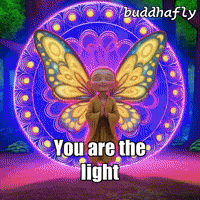 Energy Butterfly GIF by BuddhaFlyJourney