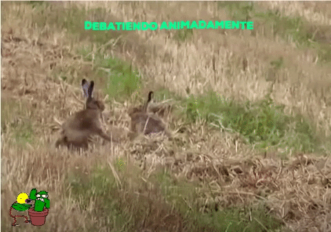 clocintia giphygifmaker giphyattribution GIF