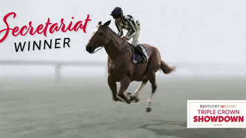 Horse Racing Champion GIF by Kentucky Derby