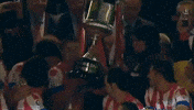 Atletico De Madrid Football GIF