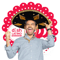 Happy Viva Mexico Sticker by DishLATINO