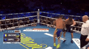 Espn Fighting GIF by Top Rank Boxing