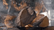 viceland GIF by Bong Appetit