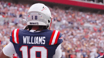 Kyle Williams Dance GIF by New England Patriots