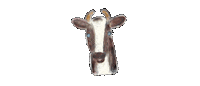 Cow 牛 Sticker