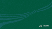 New Orleans Smile GIF by GreenWave