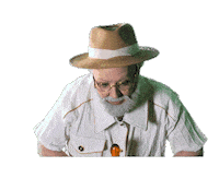 Jurassic Park Dinosaur Sticker by Oasis Arts Inc