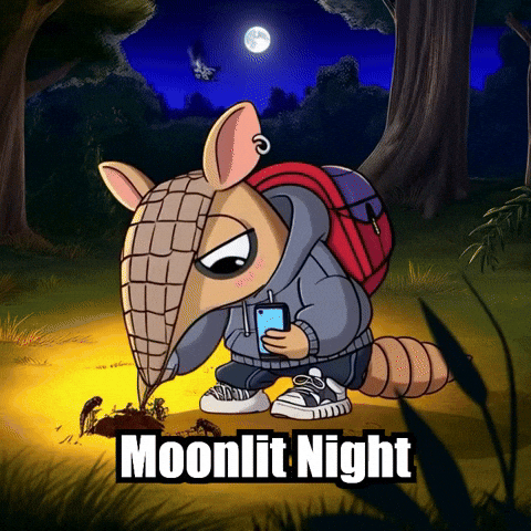 Forest Armadillo GIF by Chillo Dillo