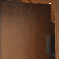 Lisa Capital GIF