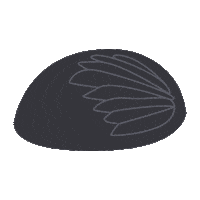 Encasa Disenomexicano Sticker by MoolMX