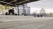 Workout Gym GIF by Casol