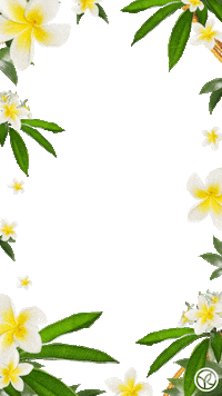 flower fleur Sticker by Yves Rocher