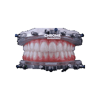 CHROMEGuidedSMILE  Sticker