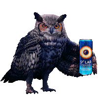 SolarPowerMx sunglasses owl solar power buho Sticker