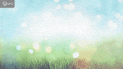 Summer Time Flowers GIF by University of the Free State