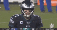 2019 Nfl Football GIF by NFL