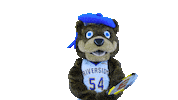 Tennis Highlander Sticker by UCRSRC