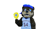 Pickleball Highlander Sticker by UCRSRC