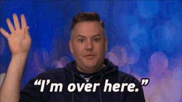 celebrity big brother ross GIF