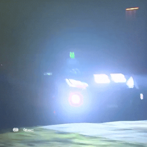 Erc Braking GIF by FIA European Rally Championship