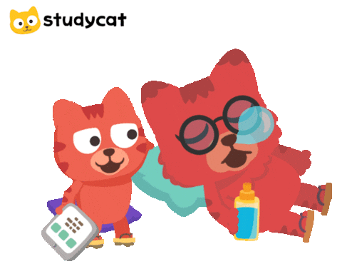 Cat Education Sticker by Studycat language learning for kids