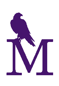 Vallo Go Falcons Sticker by University of Montevallo
