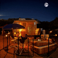 Bambi Camping GIF