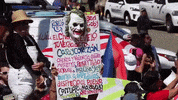 puerto rico bad bunny protests residente rickyrenuncia GIF