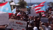puerto rico bad bunny protests residente rickyrenuncia GIF