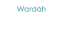 Make Up Sticker by Wardah Beauty