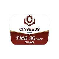 Tmg 30 Sticker by Ciaseeds