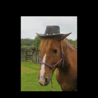 Spanish GIF by Airlearn