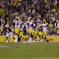 Lsu Football Shrug GIF by LSU Tigers