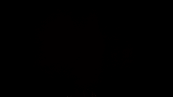 duärgrym GIF