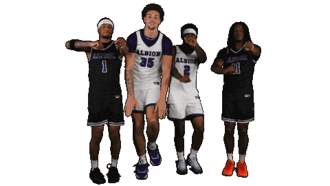 Ppp D3 Sticker by Albion College