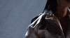rihanna GIF by 2017 MTV Video Music Awards
