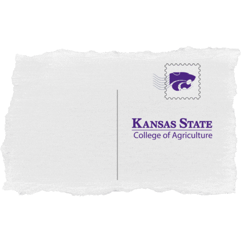 ksuAg agriculture k-state kansas state university coa Sticker