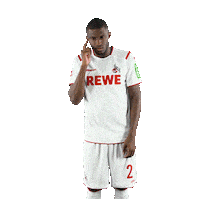 Fc Cologne Bundesliga Sticker by 1. FC Köln