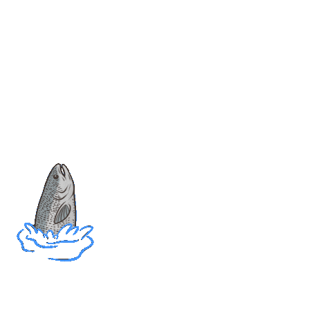 Ocean Swimming Sticker by Sharing Alaska