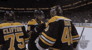 ice hockey sport GIF by NHL