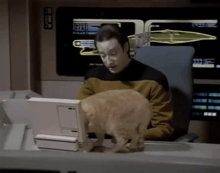 gif https://media2.giphy.com/media/v1.Y2lkPTc5MGI3NjExbnh4dWRpc3d6Nm04b3IzMjZ6aGw0NWRwZGEyaTRseGZsOGljdmJnaCZlcD12MV9pbnRlcm5hbF9naWZfYnlfaWQmY3Q9Zw/IMdS79sQINRAY/giphy.gif