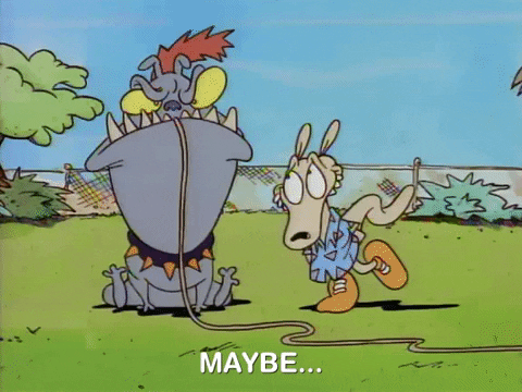 rockos modern life nicksplat GIF