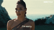 Im Sorry Wonder Woman GIF by Max